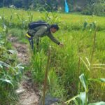 IMG-20240706-WA0023