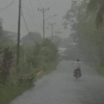 IMG-20250129-WA0039