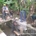 IMG-20251007-WA0013