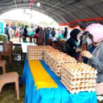 IMG-20260207-WA0015